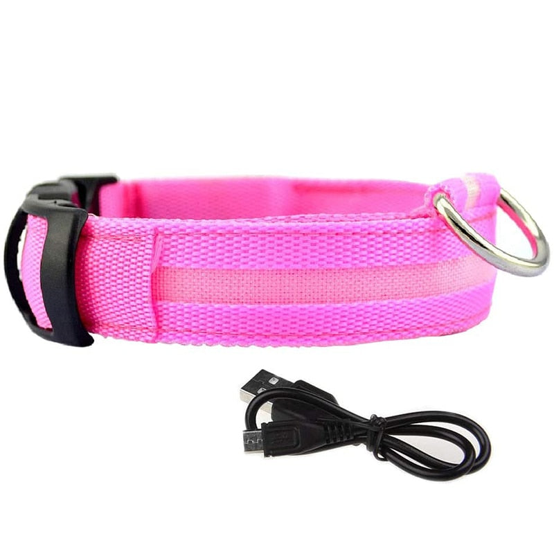 Dion | LED Glowing Rechargeable Pet Safety Collar