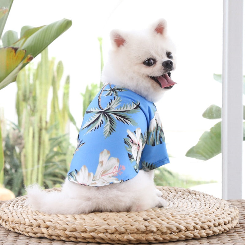 Cerys | Hawaiian Beach T-Shirt-Weste für kleine Haustiere