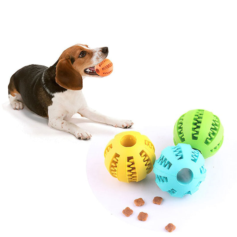Rufus | Hunde Gummiball Zahnreinigungsspielzeug