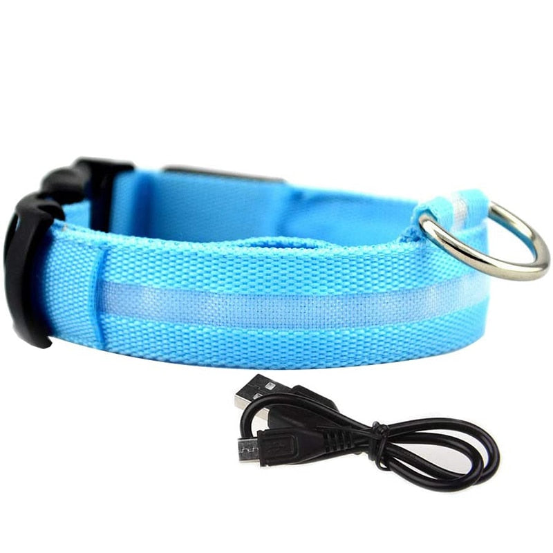 Dion | LED Glowing Rechargeable Pet Safety Collar