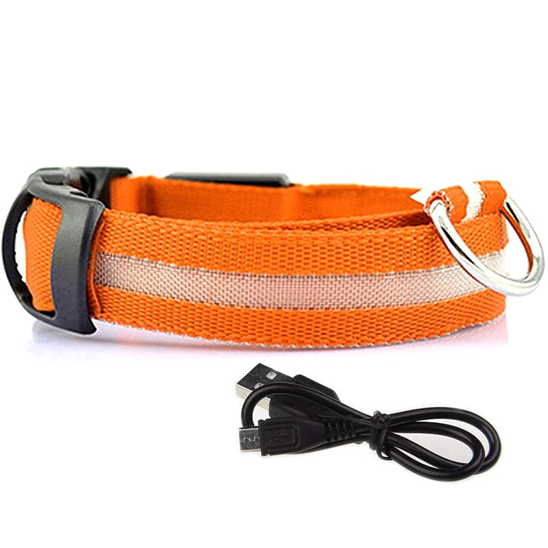 Dion | LED Glowing Rechargeable Pet Safety Collar