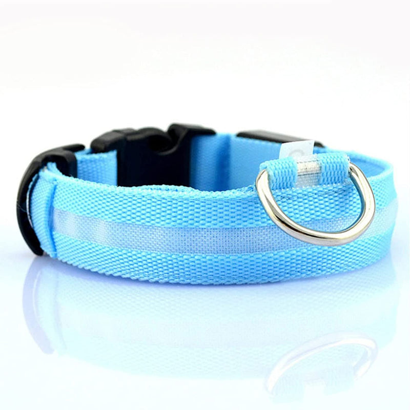 Dion | LED Glowing Rechargeable Pet Safety Collar