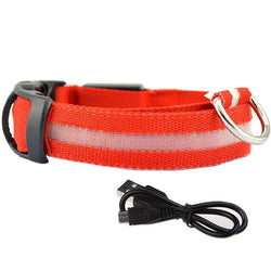 Dion | LED Glowing Rechargeable Pet Safety Collar