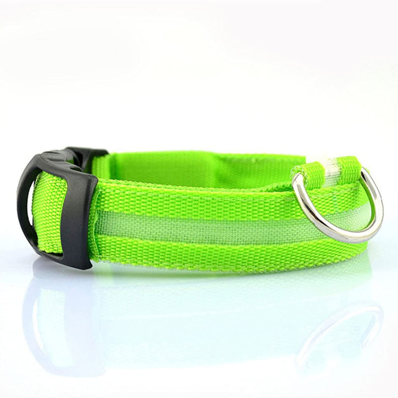 Dion | LED Glowing Rechargeable Pet Safety Collar