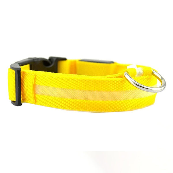 Dion | LED Glowing Rechargeable Pet Safety Collar