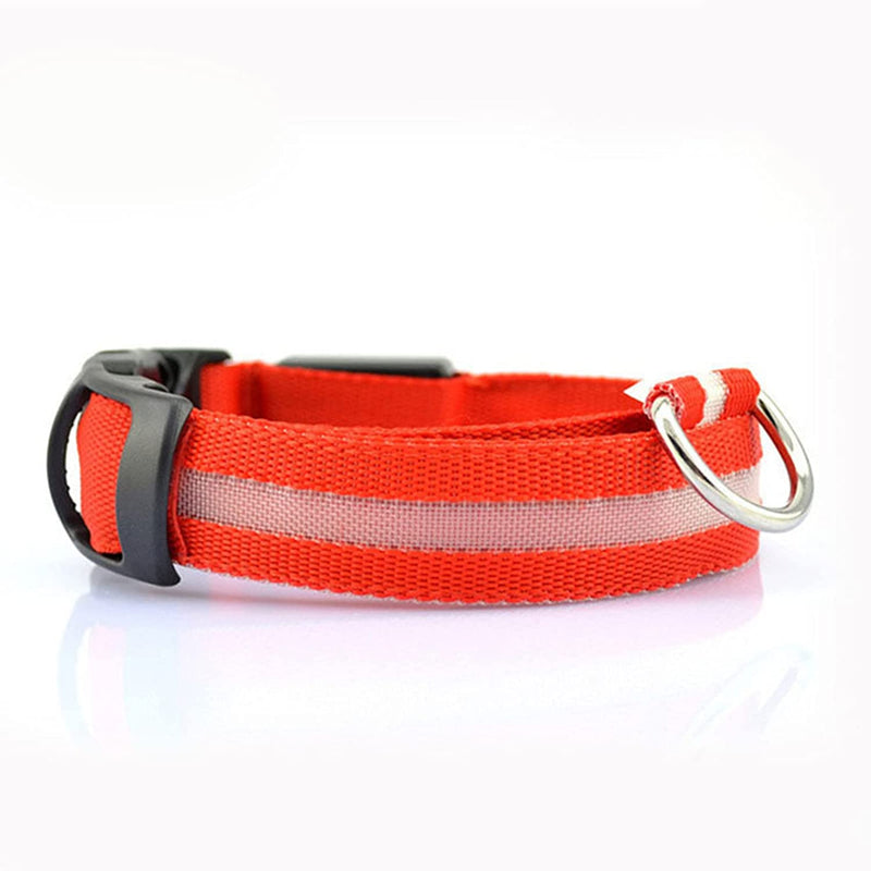 Dion | LED Glowing Rechargeable Pet Safety Collar