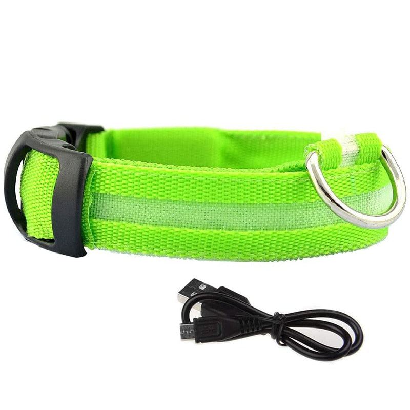 Dion | LED Glowing Rechargeable Pet Safety Collar