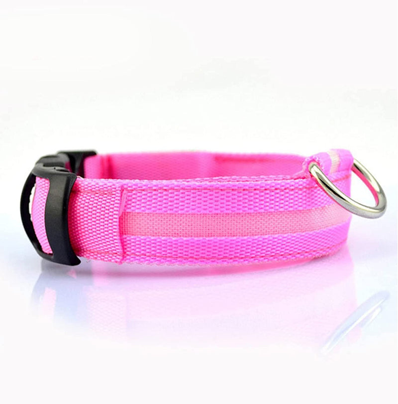 Dion | LED Glowing Rechargeable Pet Safety Collar