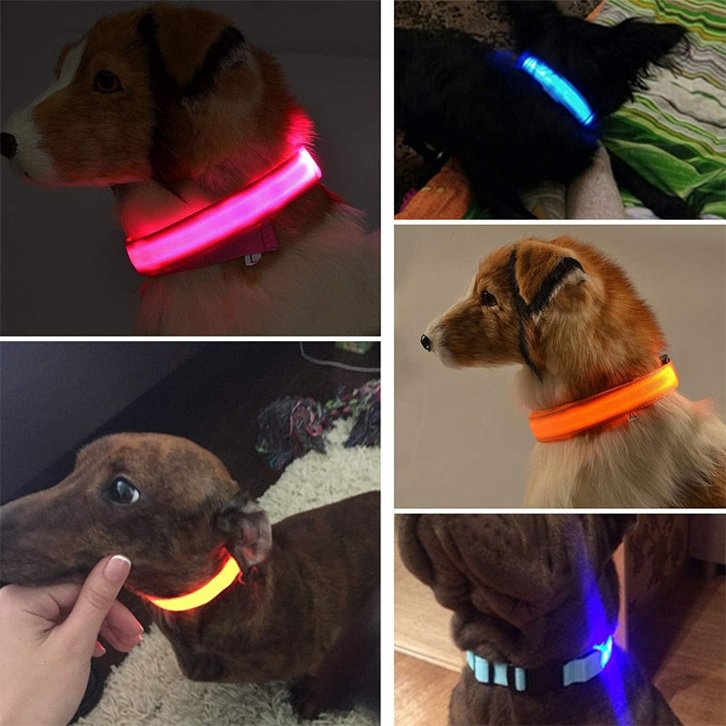 Dion | LED Glowing Rechargeable Pet Safety Collar