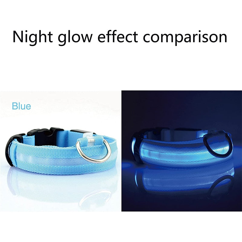Dion | LED Glowing Rechargeable Pet Safety Collar