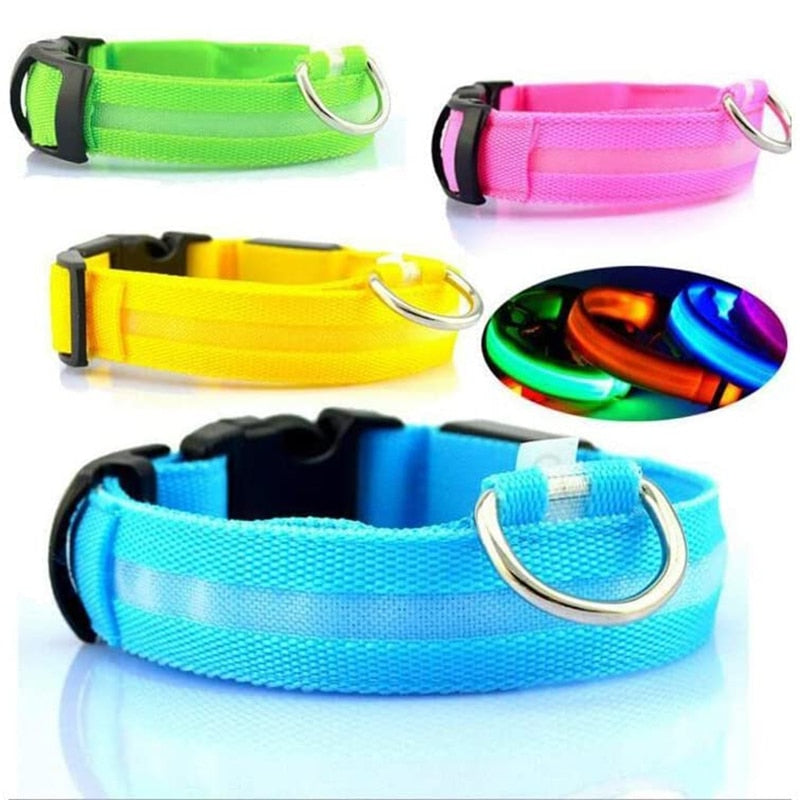 Dion | LED Glowing Rechargeable Pet Safety Collar