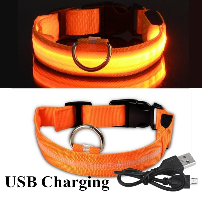 Dion | LED Glowing Rechargeable Pet Safety Collar