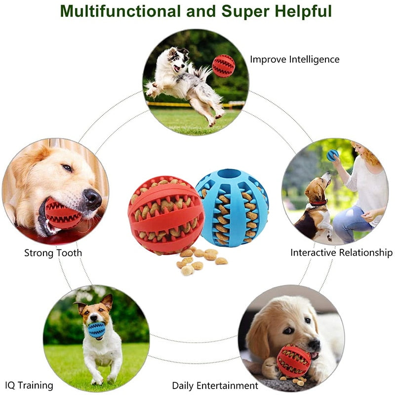 Rufus | Hunde Gummiball Zahnreinigungsspielzeug