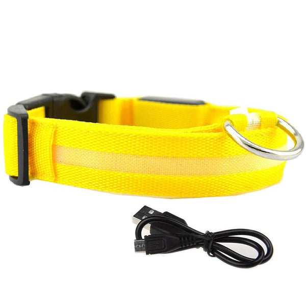 Dion | LED Glowing Rechargeable Pet Safety Collar