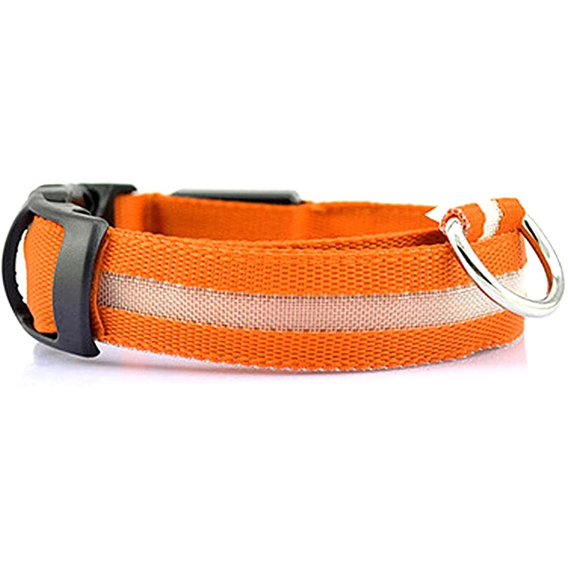 Dion | LED Glowing Rechargeable Pet Safety Collar